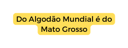 Do Algodão Mundial é do Mato Grosso