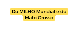 Do MILHO Mundial é do Mato Grosso