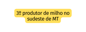 3º produtor de milho no sudeste de MT