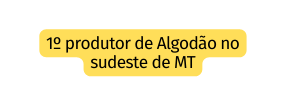1º produtor de Algodão no sudeste de MT