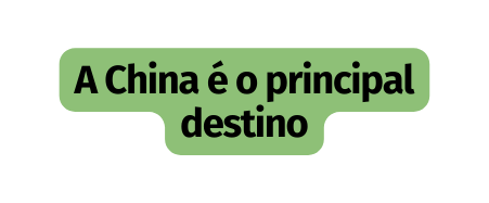 A China é o principal destino