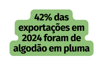 42 das exportações em 2024 foram de algodão em pluma